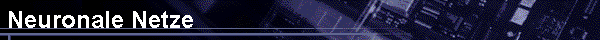  Neuronale Netze 